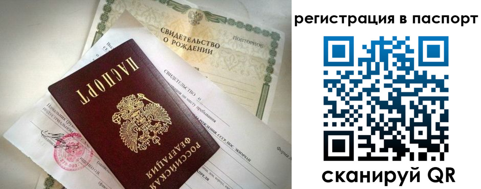 прописка гарантия в Ершове